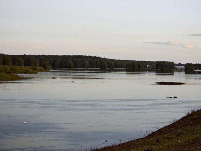 Водная катастрофа в Упоровском районе: затоплены сотни гектаров пастбищ