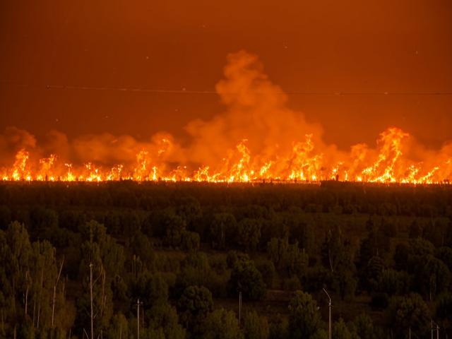 Ландшафтные пожары вынудили ввести режим ЧС в Ростовской области
