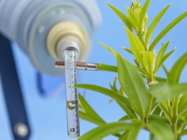 Данкверт предлагает разработать программу производства биопрепаратов для защиты растений